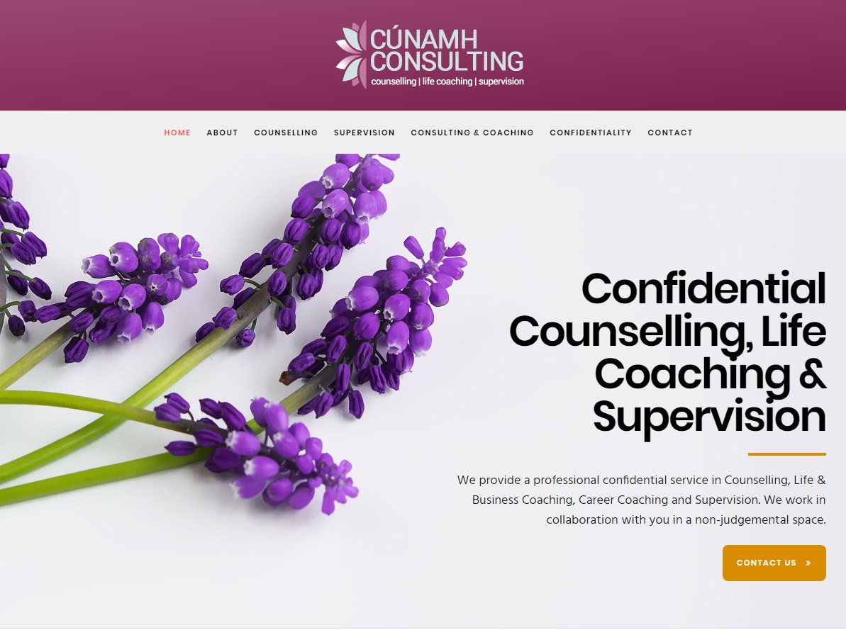 web design offaly portfolio 3